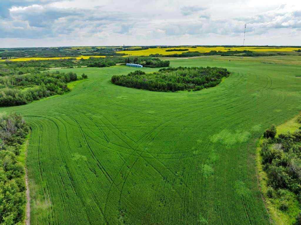 MLS® A2258004 -  4;10;39;30;SE   in NONE Rural Paintearth No. 18, County of, Land