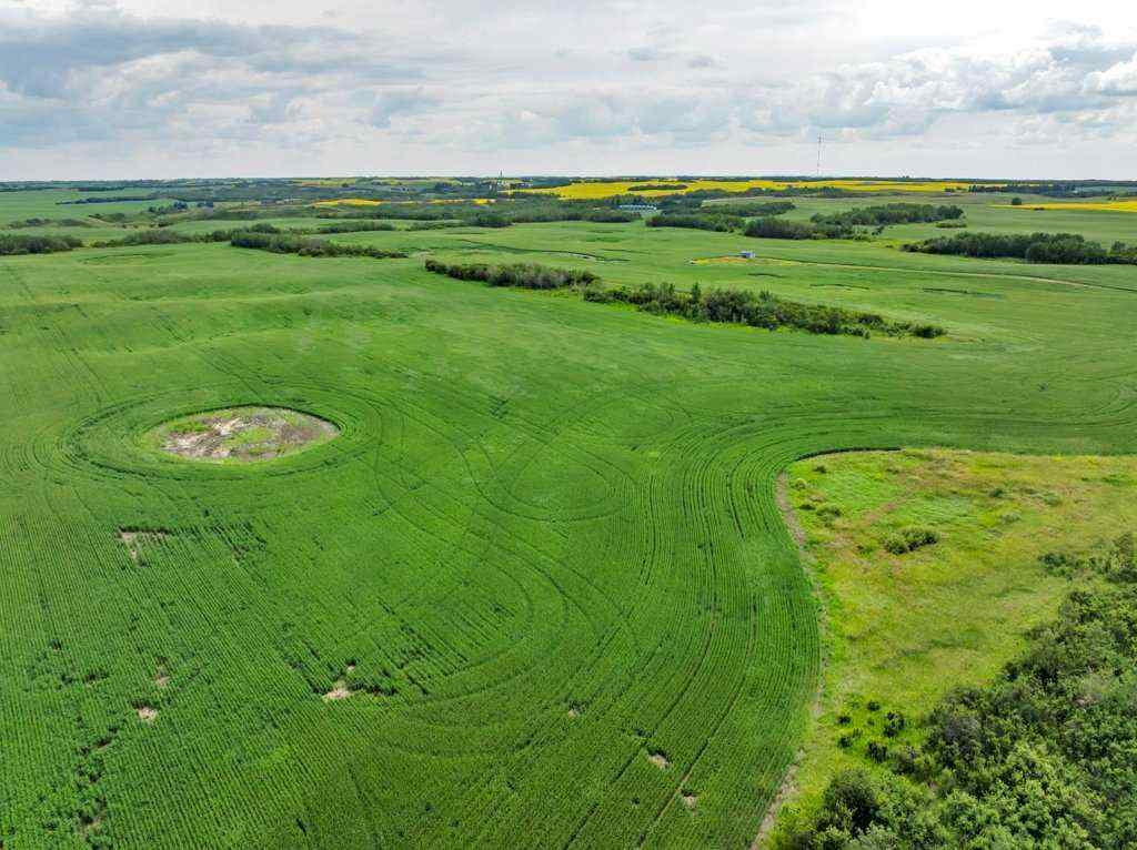MLS® A2258004 -  4;10;39;30;SE   in NONE Rural Paintearth No. 18, County of, Land