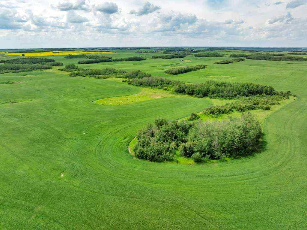 MLS® A2258004 -  4;10;39;30;SE   in NONE Rural Paintearth No. 18, County of, Land