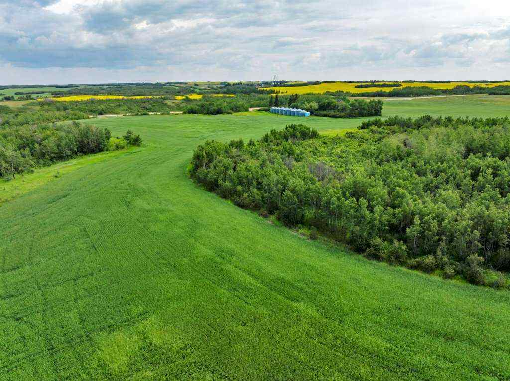 MLS® A2258004 -  4;10;39;30;SE   in NONE Rural Paintearth No. 18, County of, Land