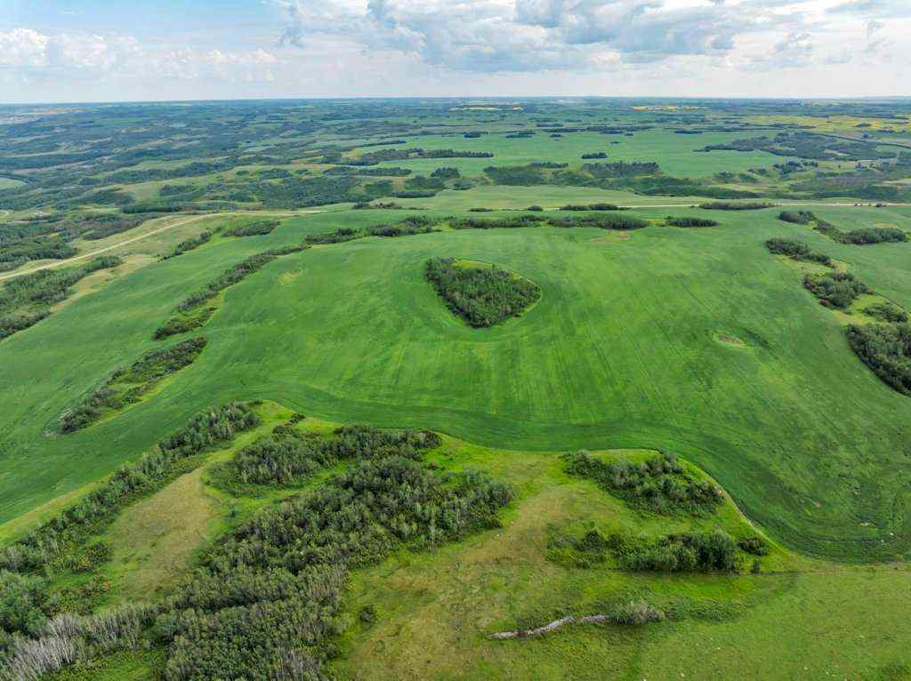 MLS® A2258064 -  4;10;39;30;NE   in NONE Rural Paintearth No. 18, County of, Land