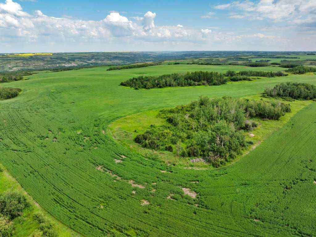 MLS® A2258064 -  4;10;39;30;NE   in NONE Rural Paintearth No. 18, County of, Land