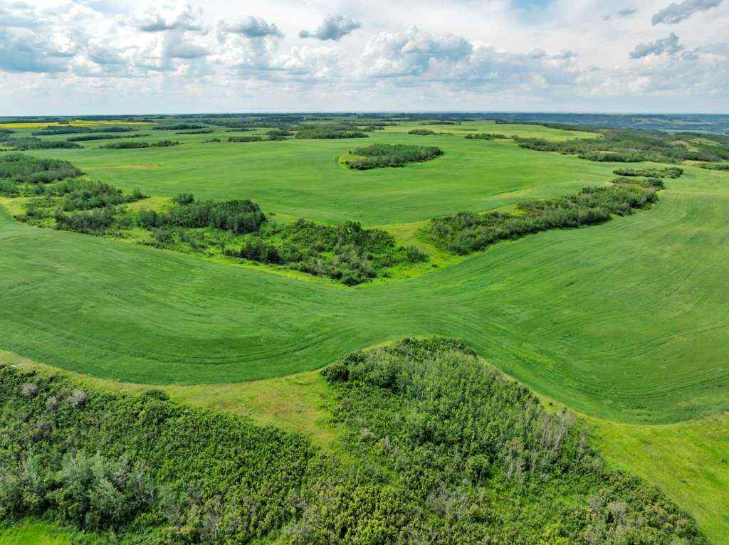 MLS® A2258064 -  4;10;39;30;NE   in NONE Rural Paintearth No. 18, County of, Land