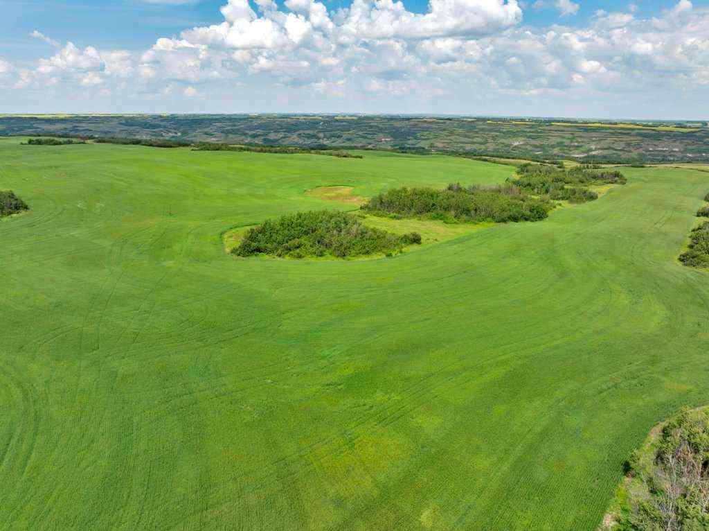 MLS® A2258064 -  4;10;39;30;NE   in NONE Rural Paintearth No. 18, County of, Land