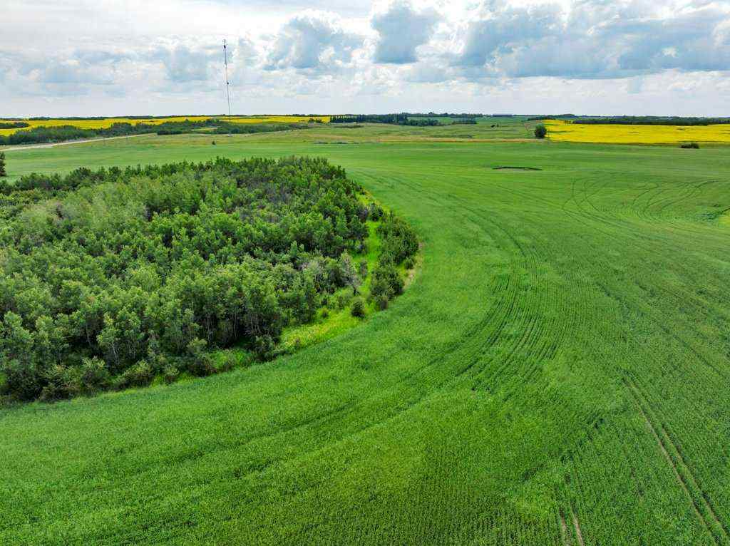 MLS® A2258064 -  4;10;39;30;NE   in NONE Rural Paintearth No. 18, County of, Land