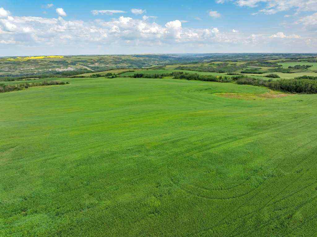 MLS® A2258064 -  4;10;39;30;NE   in NONE Rural Paintearth No. 18, County of, Land