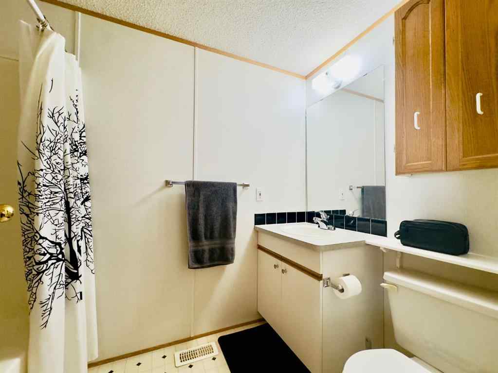 MLS® A2258109 - 13442 22 Avenue   in NONE Blairmore, Mobile