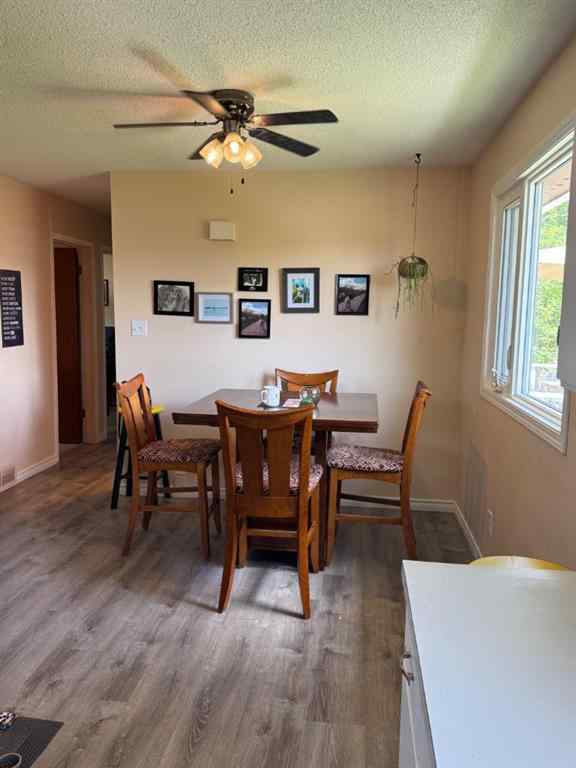 MLS® A2258164 - 599 3 Avenue W in Downtown Drumheller, Residential