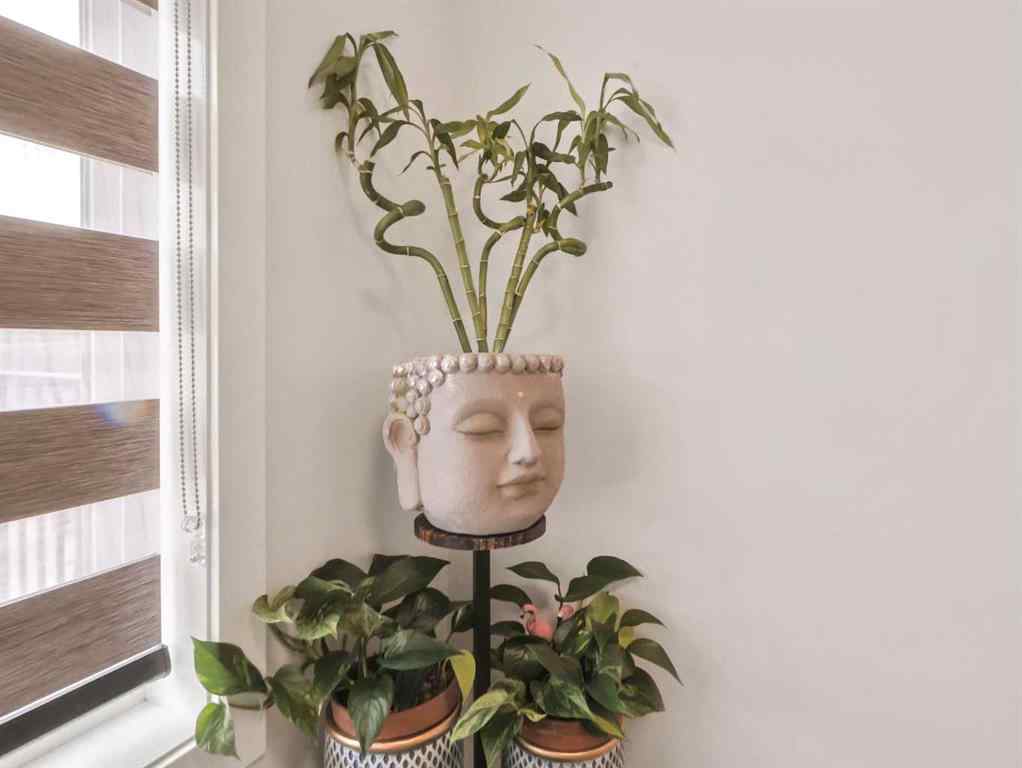 MLS® A2258438 - 144 Skyview Point Green NE in Skyview Ranch Calgary, Residential