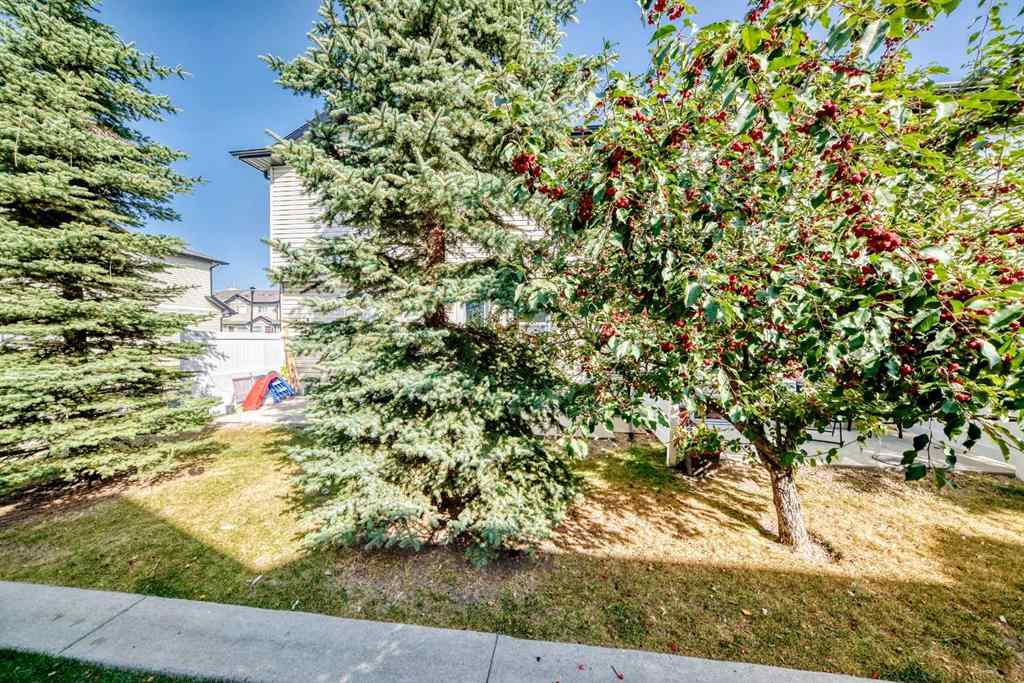 MLS® A2258442 - 115 Saddlebrook Point NE in Saddle Ridge Calgary, Residential