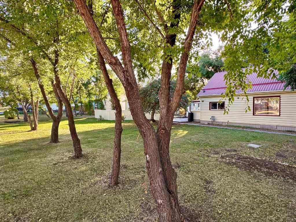 MLS® A2258492 - 4801 50 Avenue  in NONE Mayerthorpe, Residential