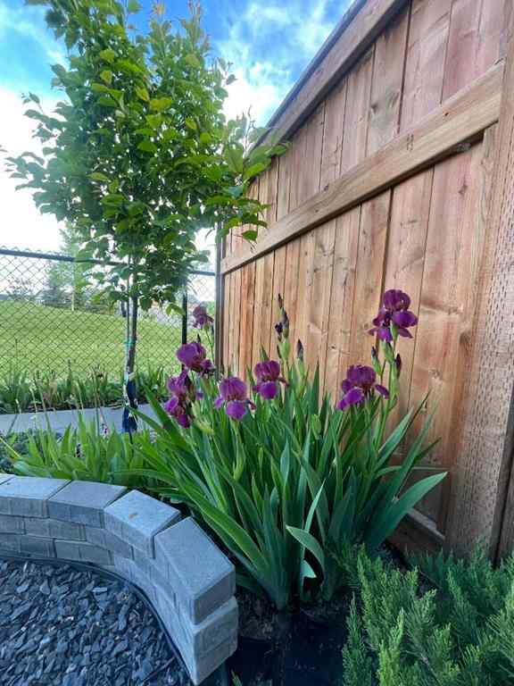 MLS® A2258526 - 48 Seton Rise SE in Seton Calgary, Residential