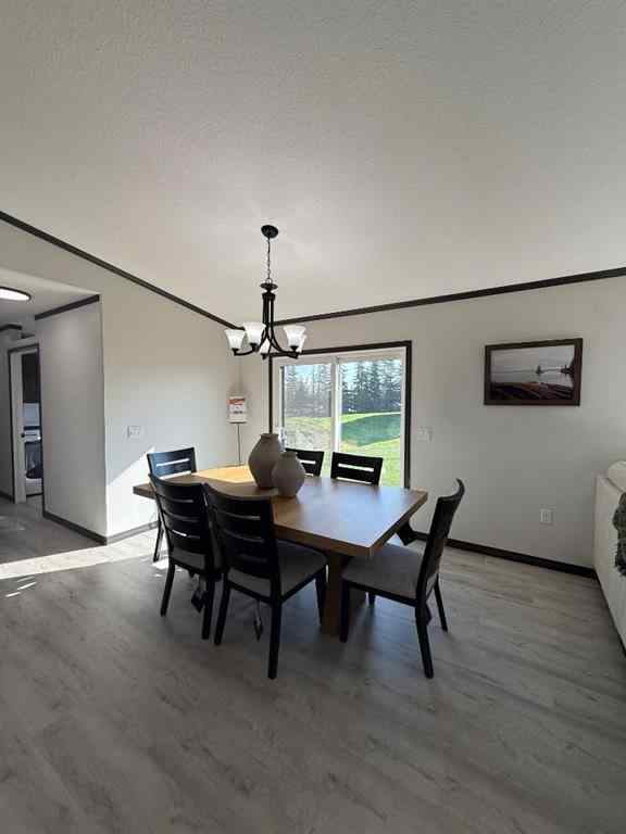 MLS® A2258589 - 106167 RGE RD 150   in NONE La Crete, Mobile