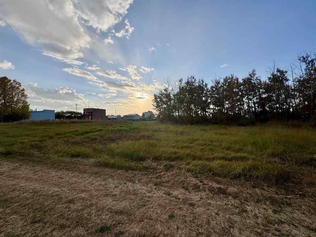 MLS® A2258653 - 23 3rd Street  in NONE Gadsby, Land