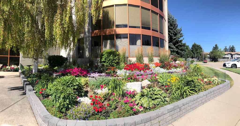 MLS® A2258710 - Unit #221 20 Coachway Road SW in Coach Hill Calgary, Residential