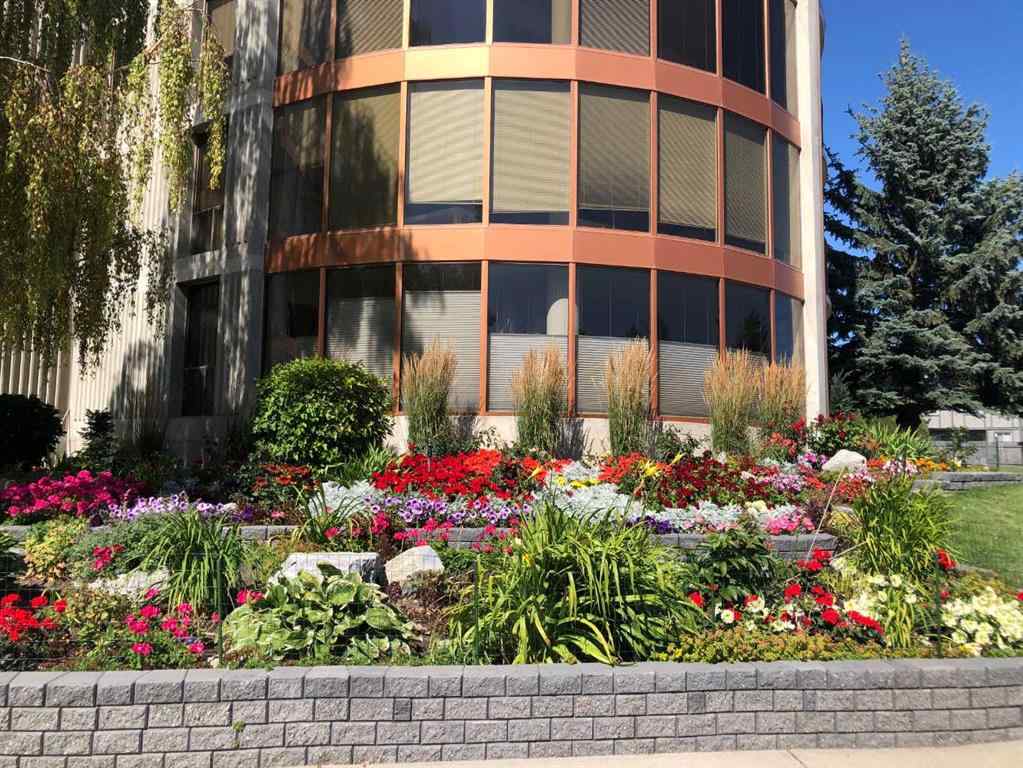 MLS® A2258710 - Unit #221 20 Coachway Road SW in Coach Hill Calgary, Residential