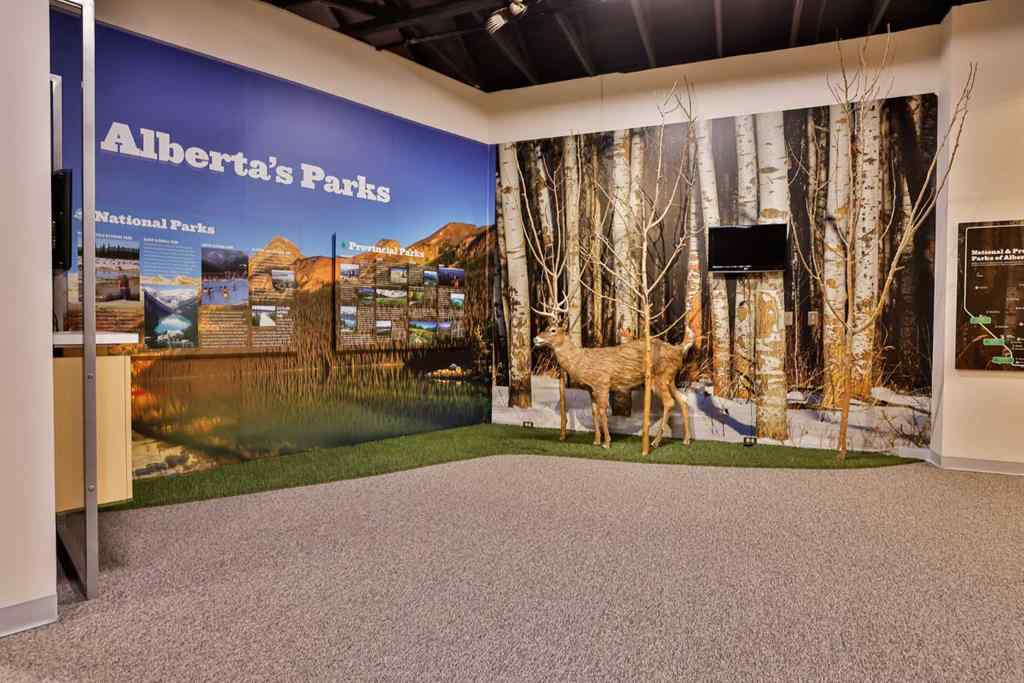 MLS® A2258723 - Plan County of Warner 8810371   in NONE Milk River, Commercial