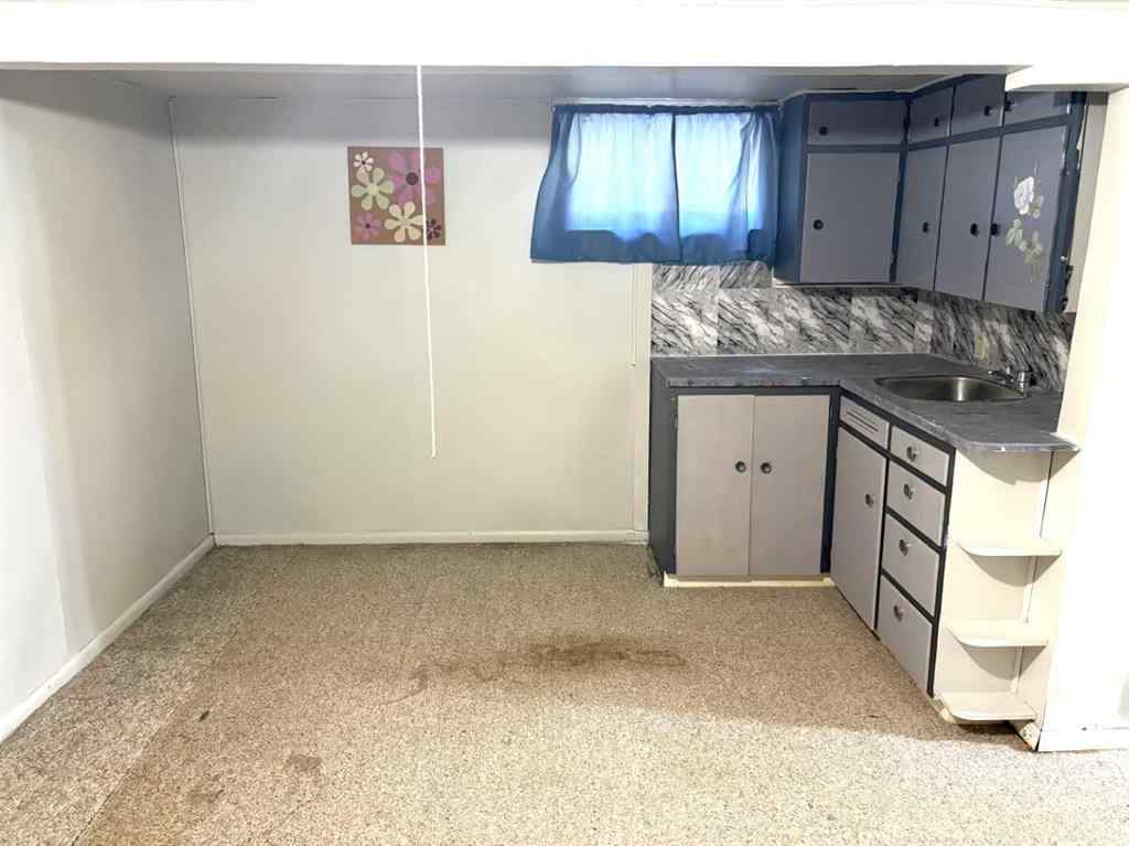 MLS® A2258775 - 220 LADY VIVIAN Avenue W in Galahad Galahad, Residential