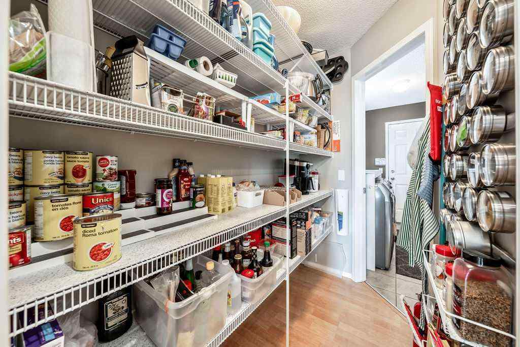 MLS® A2258786 - 96 Mt Douglas Point SE in McKenzie Lake Calgary, Residential