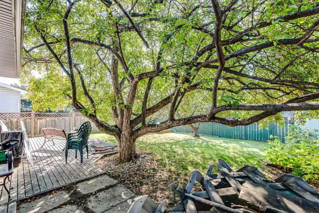 MLS® A2258834 - 251 Pineland Place NE in Pineridge Calgary, Residential