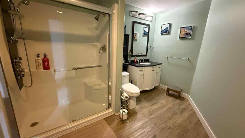 MLS® A2258948 - 219 1 Avenue E in NONE Youngstown, Residential