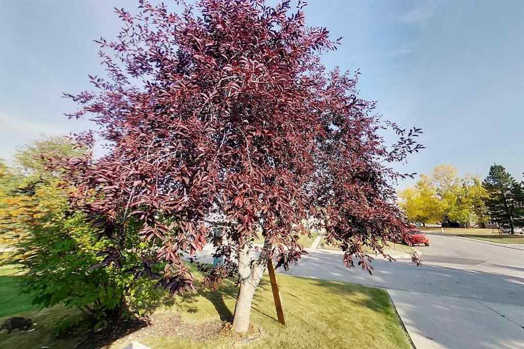 MLS® A2258983 - 5703 9 Avenue  in Edson Edson, Residential