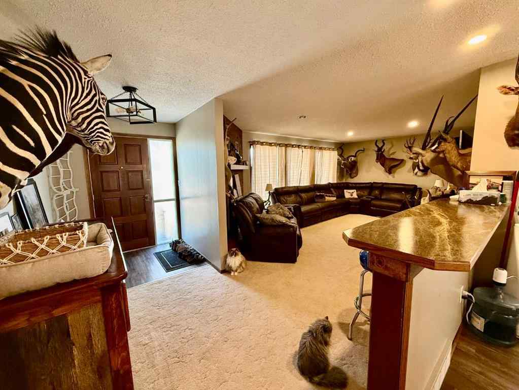 MLS® A2259041 - 4219 54 Avenue  in Provost Provost, Residential