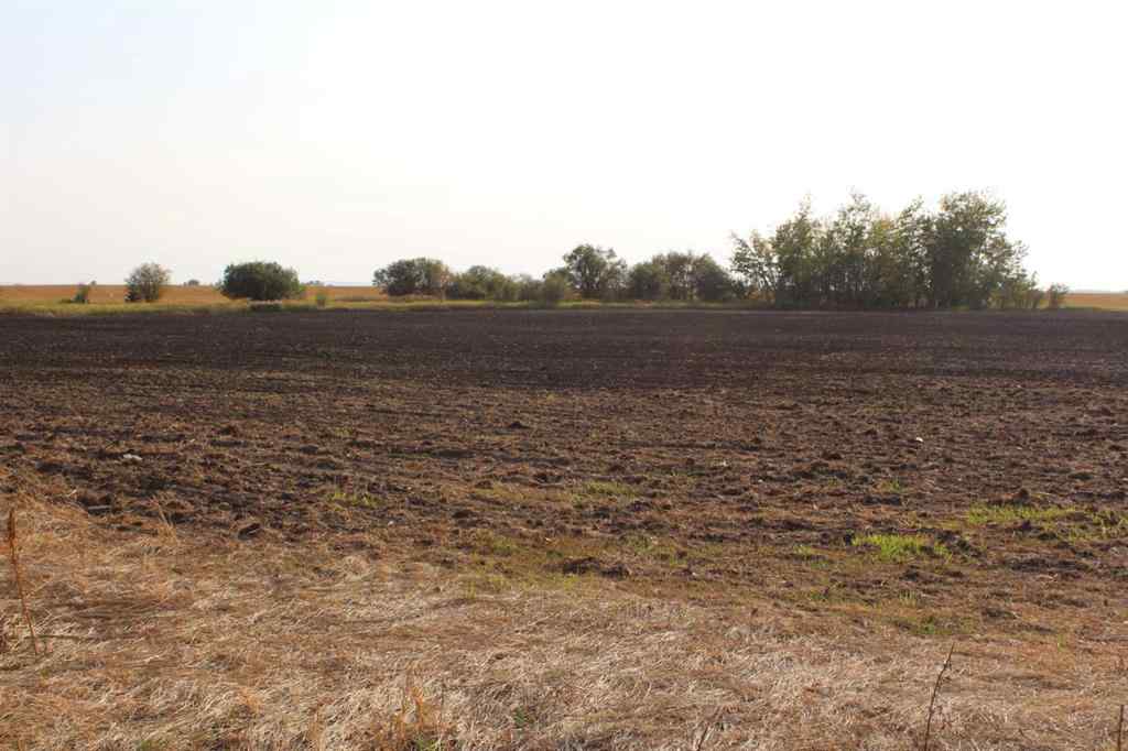 MLS® A2259102 - 233055 922 Twp Road   in NONE Notikewin, Agri-Business