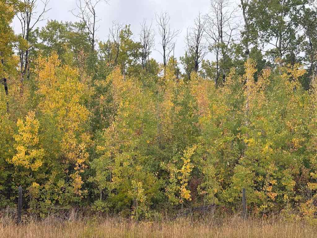 MLS® A2259155 -  12 Foot Davis Road   in NONE Rural Northern Sunrise County, Land