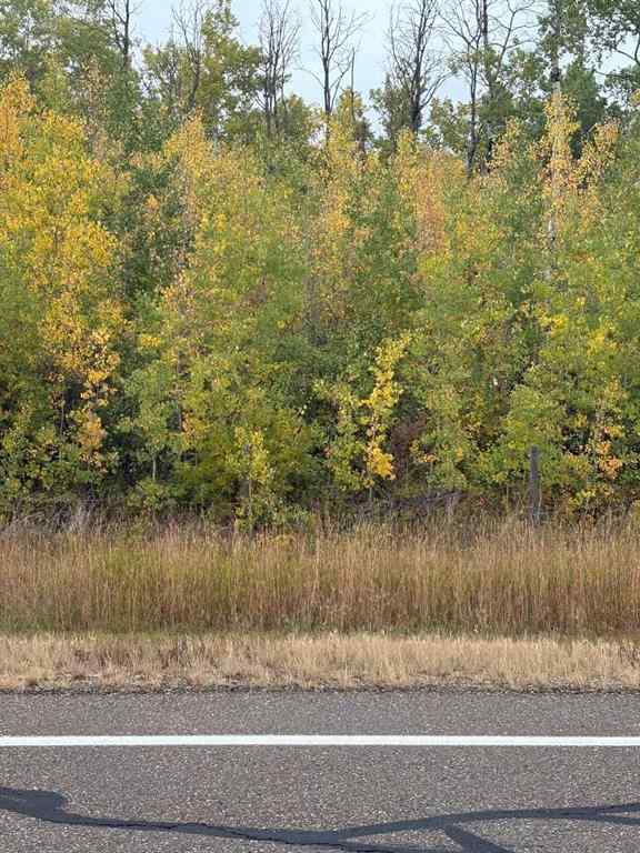 MLS® A2259155 -  12 Foot Davis Road   in NONE Rural Northern Sunrise County, Land