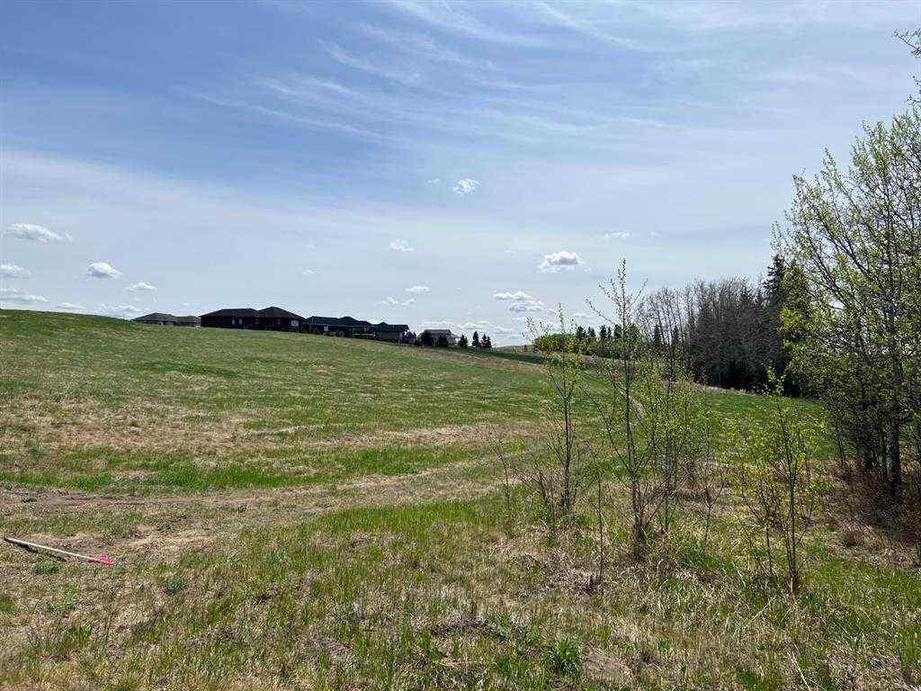 MLS® A2259190 - 143 Wolf Run Drive   in NONE Rural Ponoka County, Land