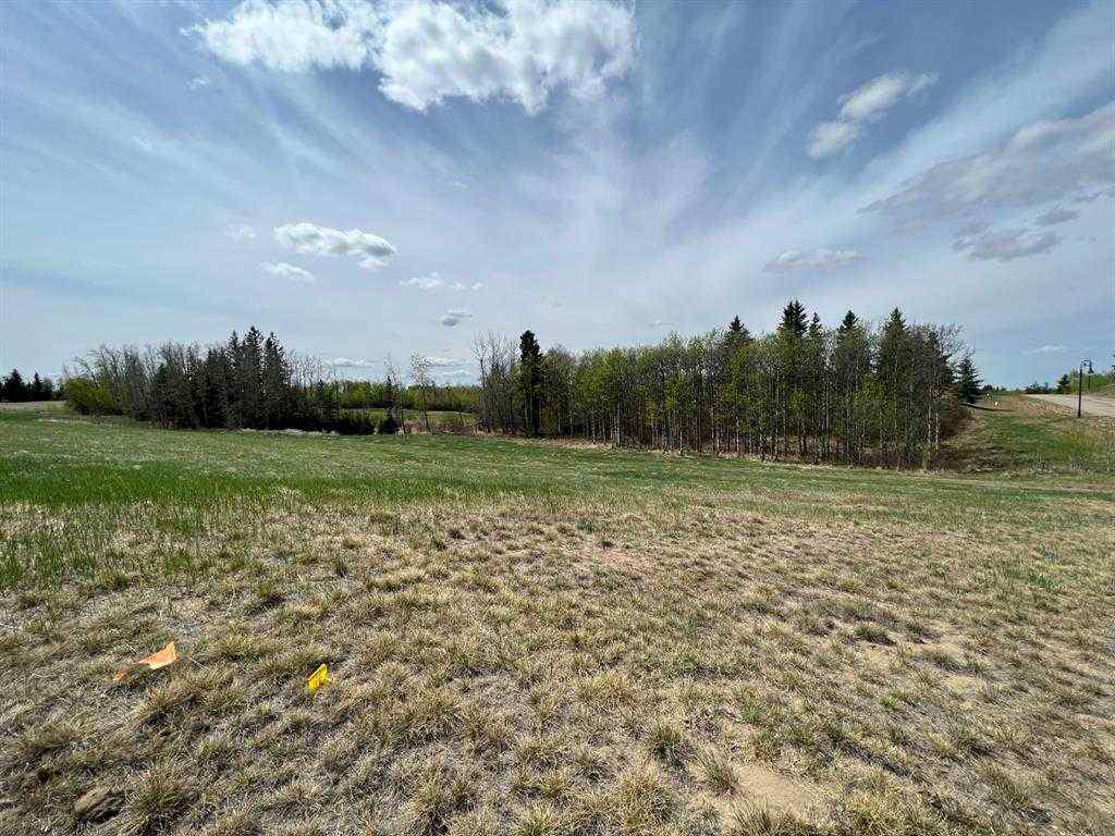 MLS® A2259190 - 143 Wolf Run Drive   in NONE Rural Ponoka County, Land