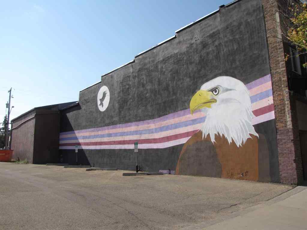 MLS® A2259264 - 4939 50 Street  in Downtown Innisfail Innisfail, Commercial