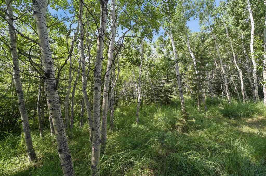 MLS® A2259269 - 1458 Strathcona Drive SW in Strathcona Park Calgary, Residential