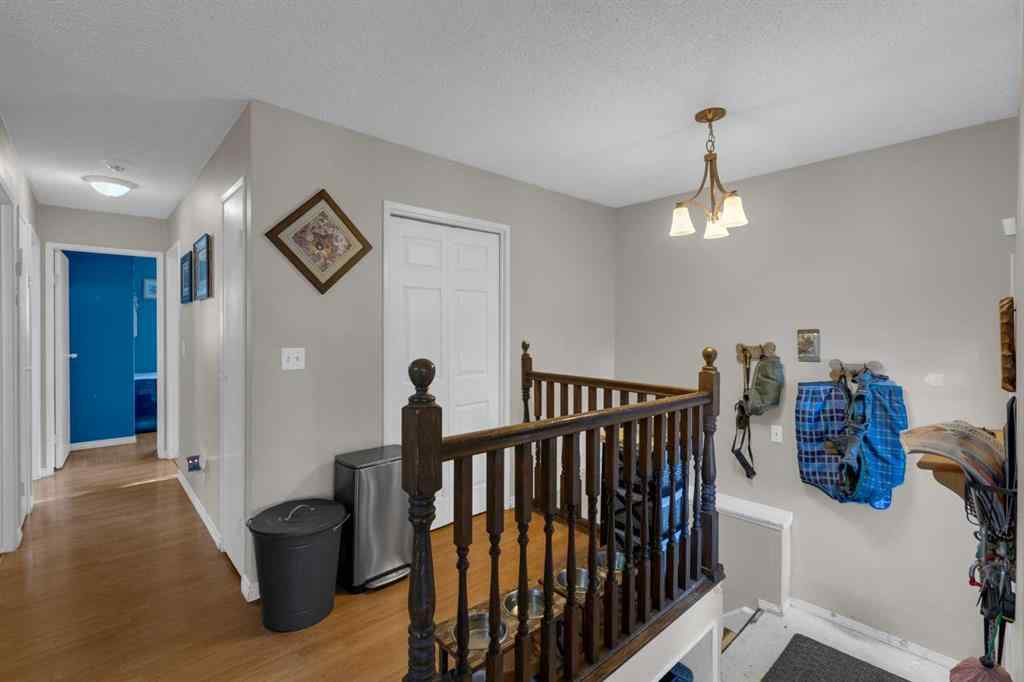 MLS® A2259348 - 31 Rundlelawn Court NE in Rundle Calgary, Residential