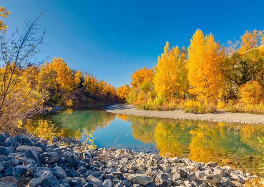 MLS® A2259360 - 2020 2 Street SW in Mission Calgary, Residential