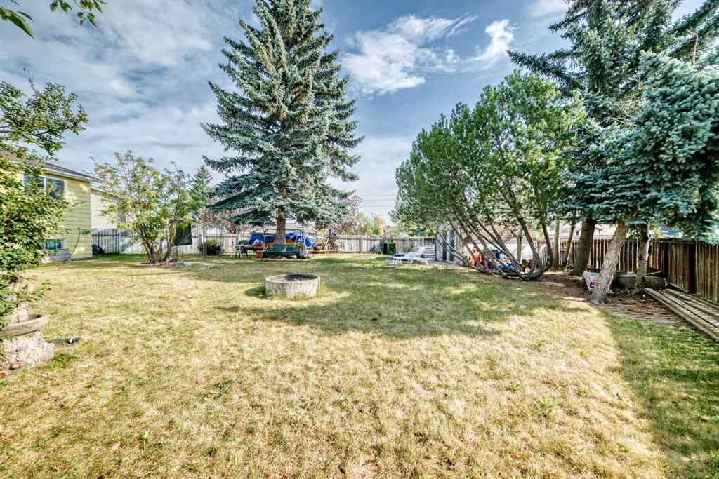 MLS® A2259458 - 52 Castlebrook Rise NE in Castleridge Calgary, Residential