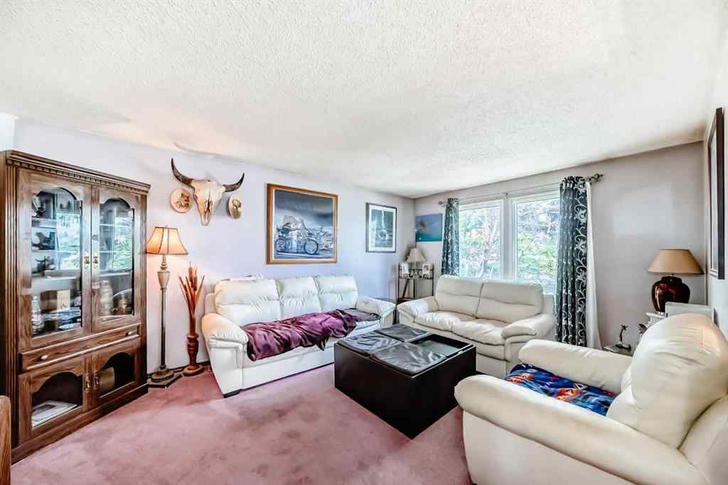 MLS® A2259458 - 52 Castlebrook Rise NE in Castleridge Calgary, Residential