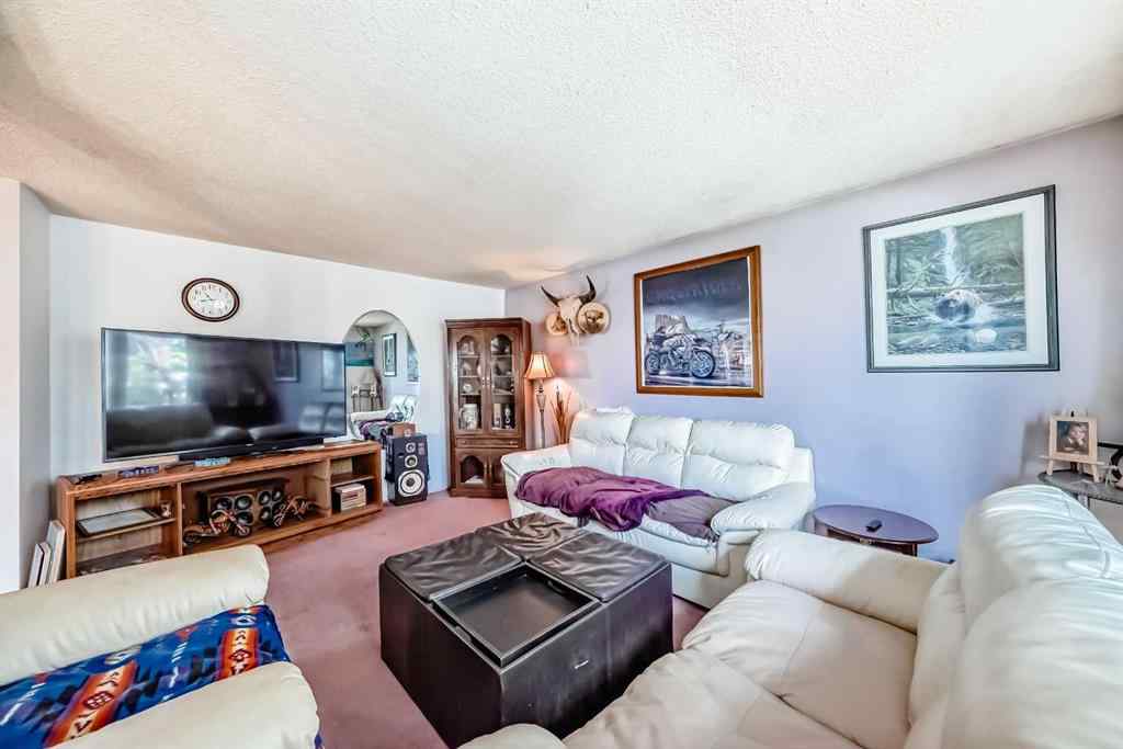 MLS® A2259458 - 52 Castlebrook Rise NE in Castleridge Calgary, Residential