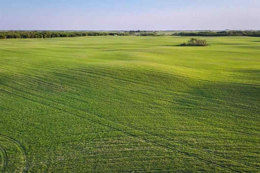 MLS® A2259461 -  9-43-18-W4   in NONE Rural Camrose County, Agri-Business