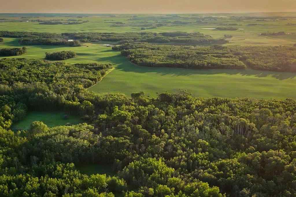 MLS® A2259461 -  9-43-18-W4   in NONE Rural Camrose County, Agri-Business