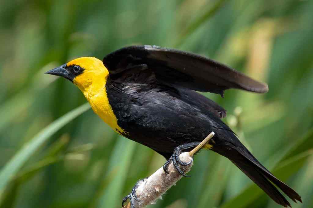 MLS® A2259461 -  9-43-18-W4   in NONE Rural Camrose County, Agri-Business