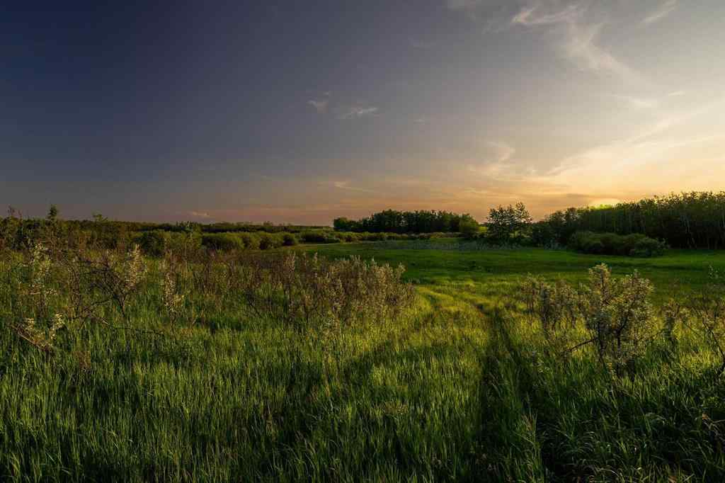 MLS® A2259461 -  9-43-18-W4   in NONE Rural Camrose County, Agri-Business