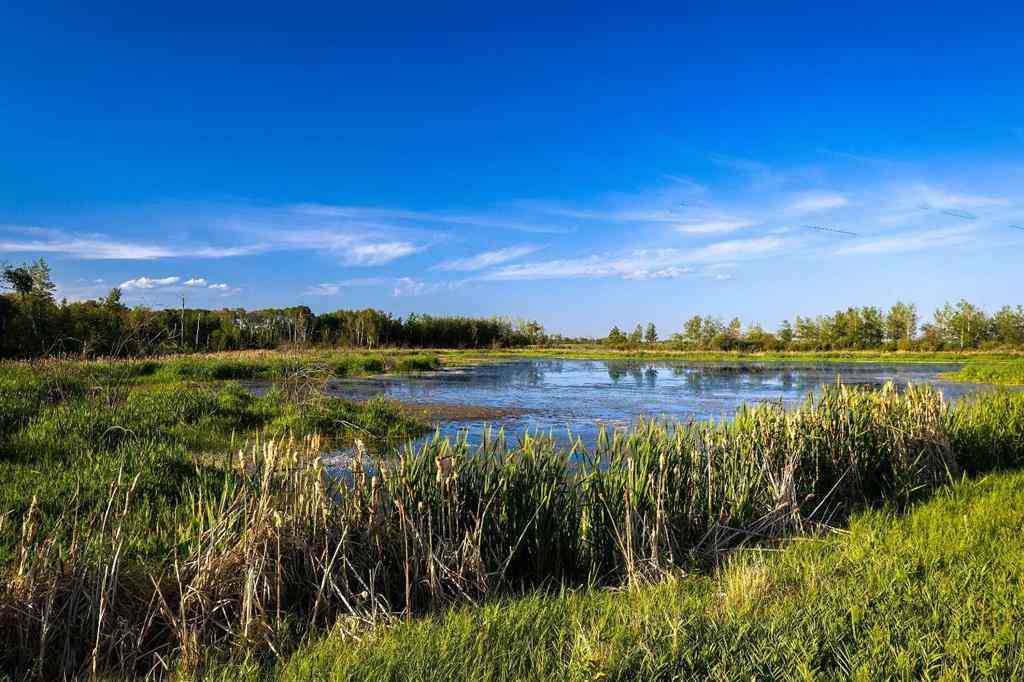 MLS® A2259461 -  9-43-18-W4   in NONE Rural Camrose County, Agri-Business