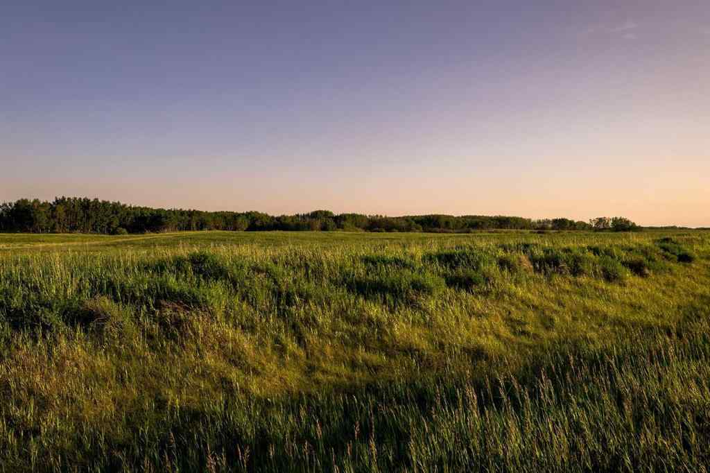 MLS® A2259461 -  9-43-18-W4   in NONE Rural Camrose County, Agri-Business