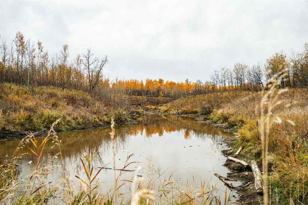 MLS® A2259461 -  9-43-18-W4   in NONE Rural Camrose County, Agri-Business