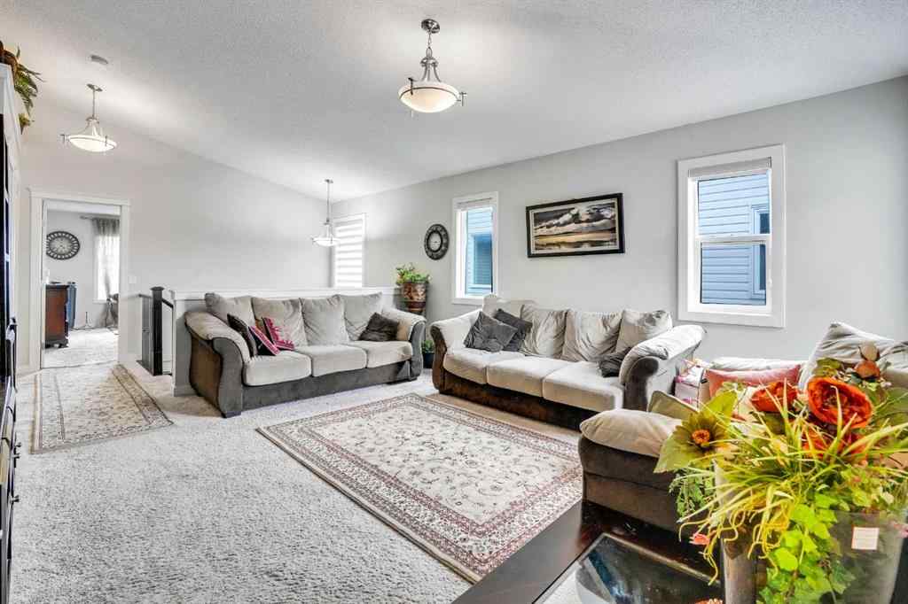MLS® A2259486 - 272 Skyview Shores Manor NE in Skyview Ranch Calgary, Residential