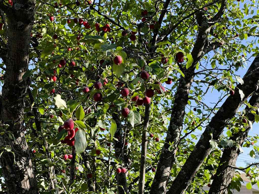 MLS® A2259717 - 10405 118 Street  in NONE Fairview, Residential