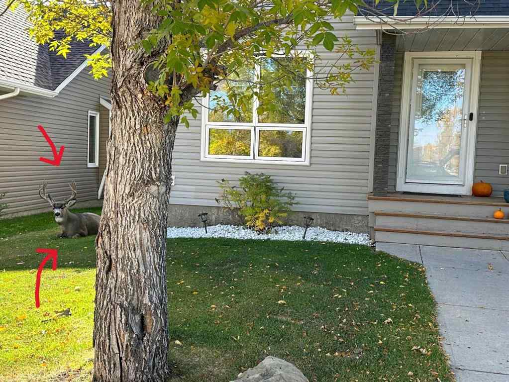 MLS® A2259804 - 135 Westridge Close  in Westridge Okotoks, Residential