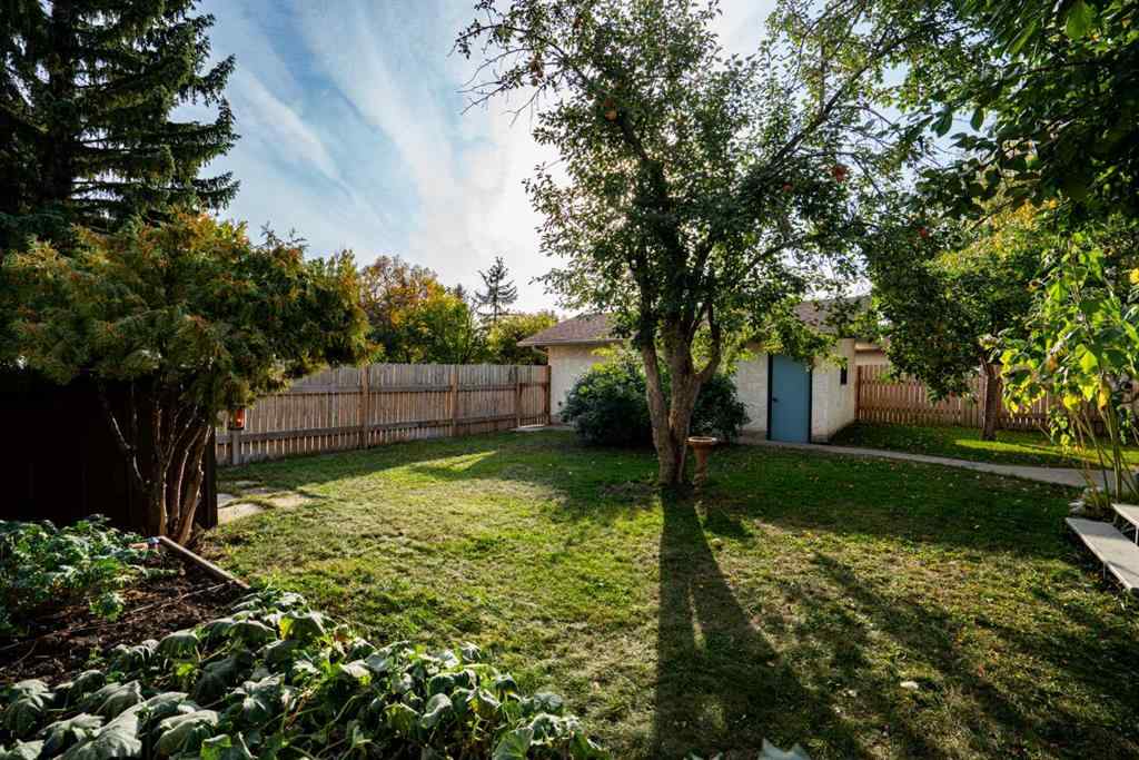 MLS® A2259835 - 6209 42 Avenue  in Marler Camrose, Residential